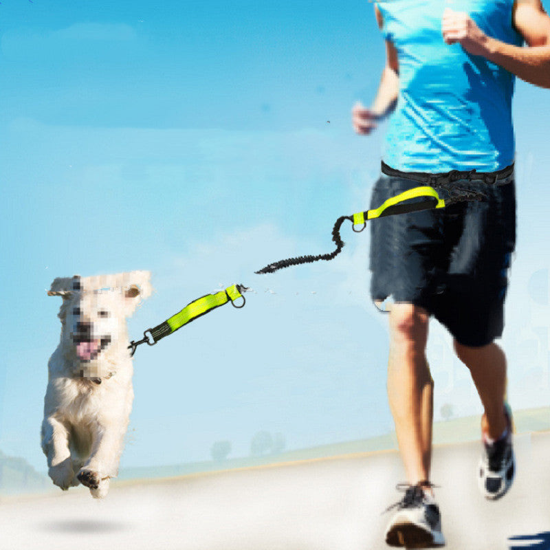 Dog and owner running together, Friends and Fitness.